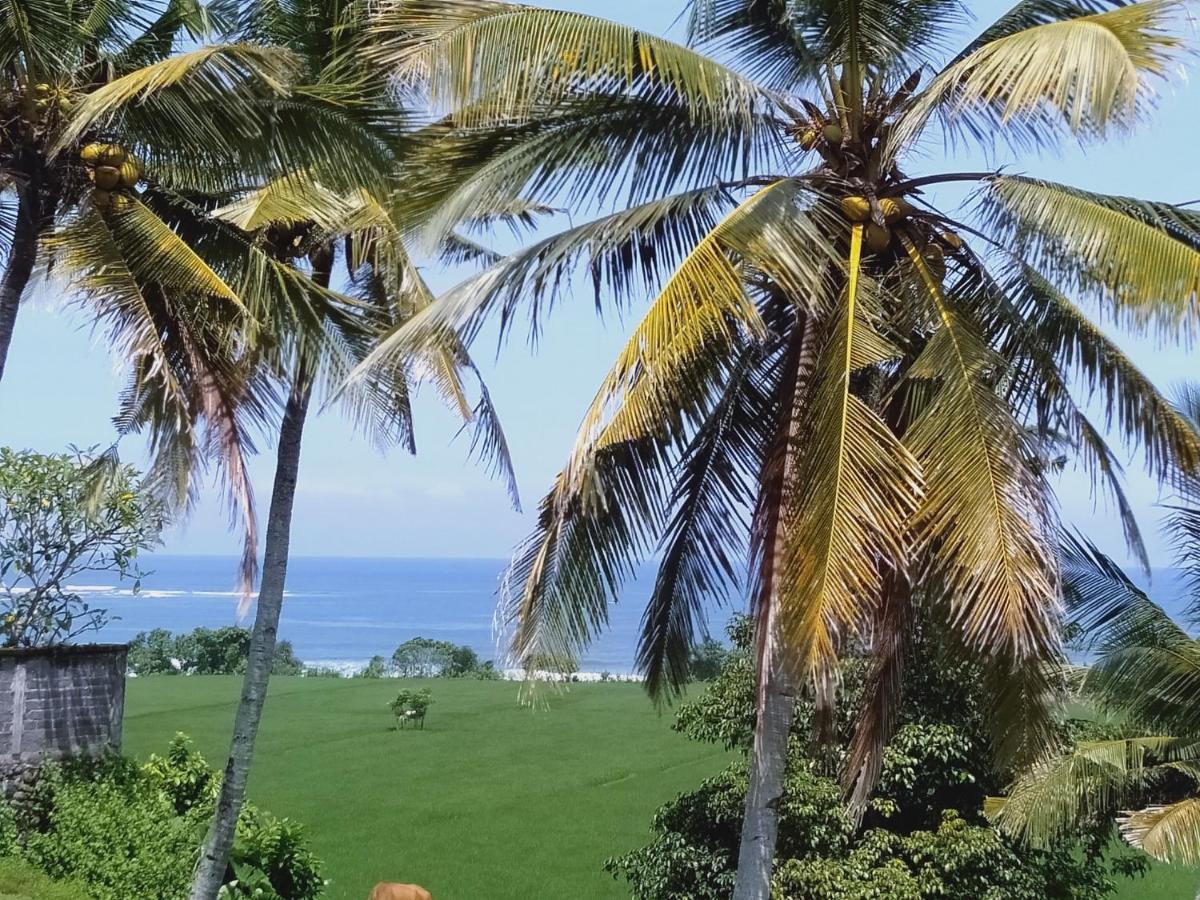 Medewi Beach View Villa Jembrana Kültér fotó